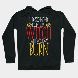 I descended from that witch who wouldn't burn Hoodie